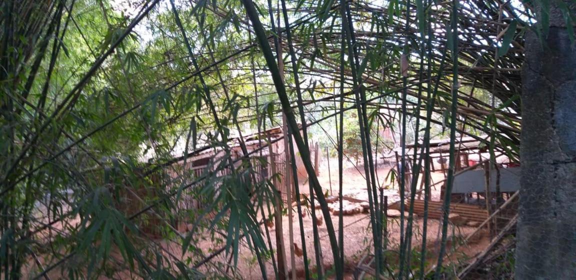Pousada Sirius São Roque de Minas Exterior foto